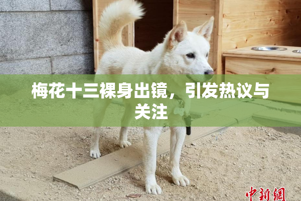 梅花十三裸身出镜，引发热议与关注