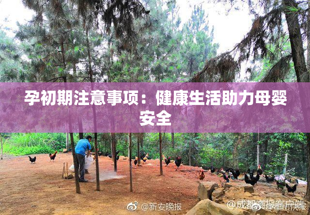 孕初期注意事项：健康生活助力母婴安全