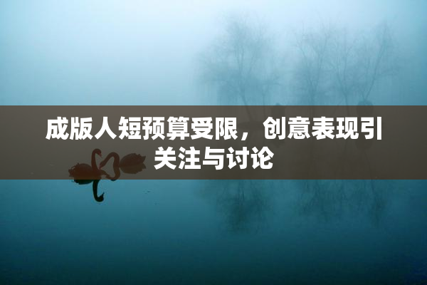 成版人短预算受限，创意表现引关注与讨论