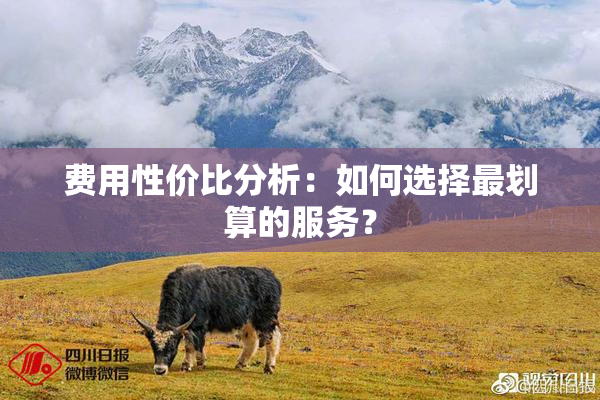 费用性价比分析：如何选择最划算的服务？