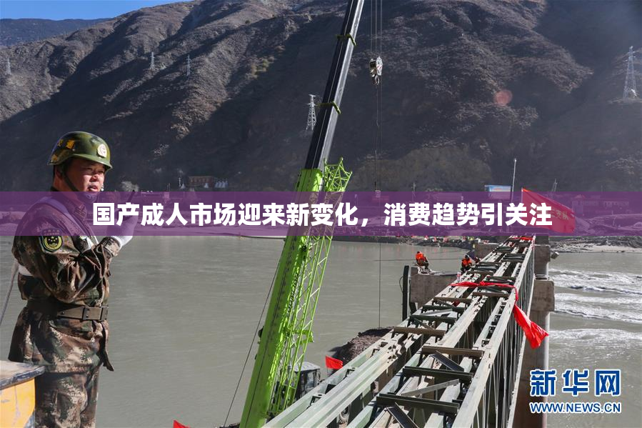 国产成人市场迎来新变化，消费趋势引关注
