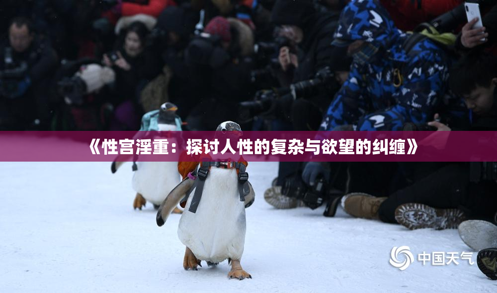 《性宫淫重：探讨人性的复杂与欲望的纠缠》