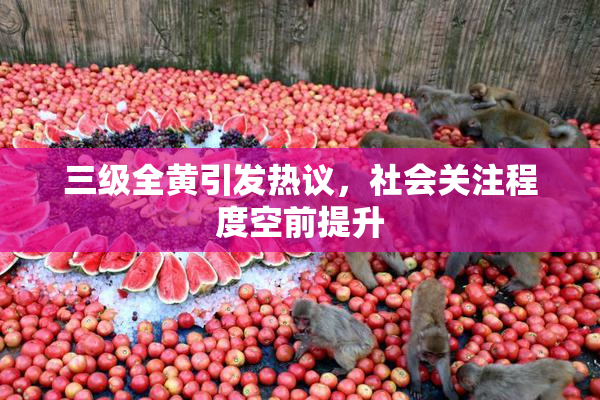 三级全黄引发热议，社会关注程度空前提升