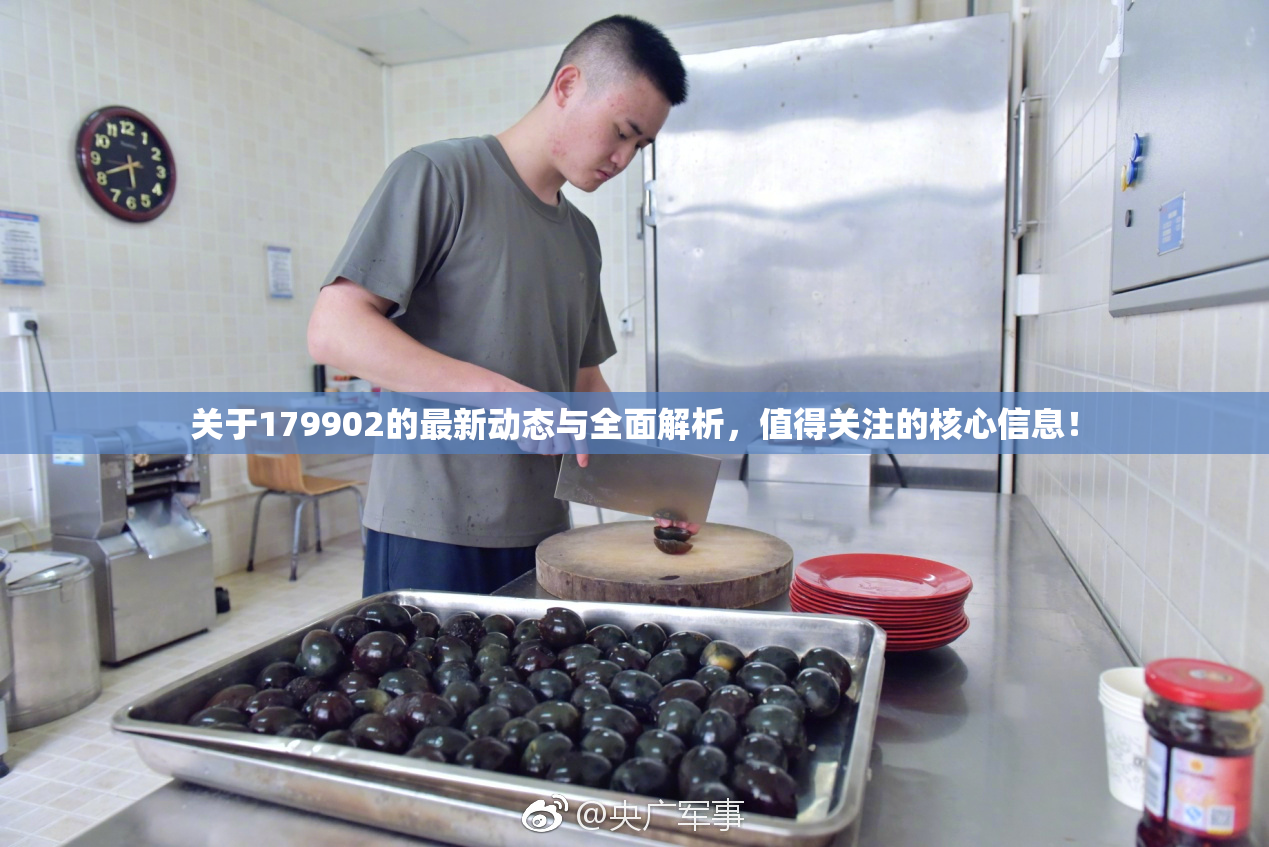 关于179902的最新动态与全面解析，值得关注的核心信息！