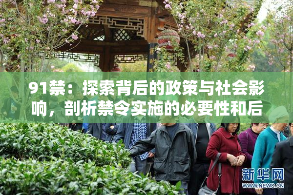 91禁：探索背后的政策与社会影响，剖析禁令实施的必要性和后果