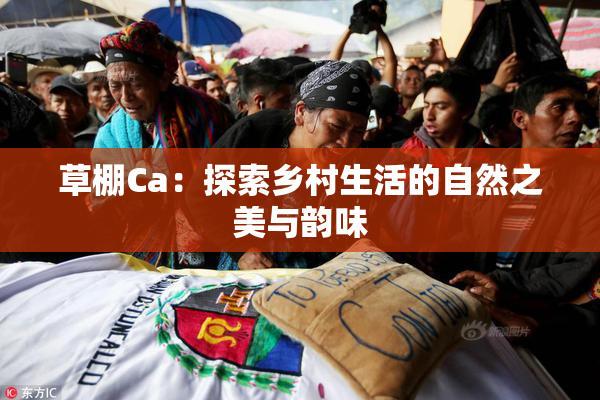 草棚Ca：探索乡村生活的自然之美与韵味