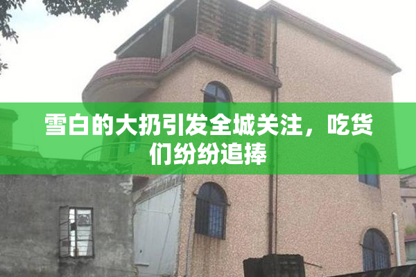 雪白的大扔引发全城关注，吃货们纷纷追捧