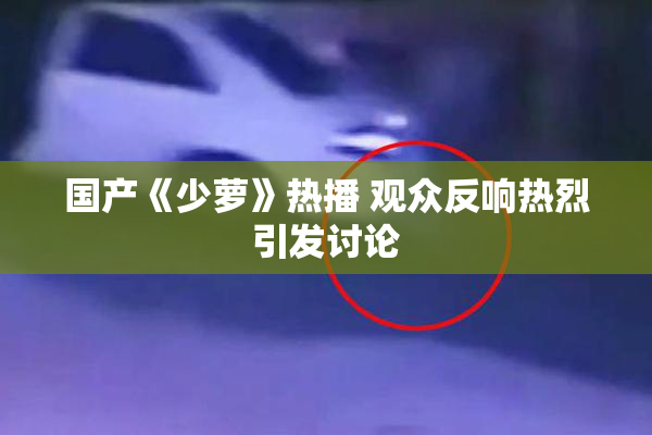 国产《少萝》热播 观众反响热烈引发讨论