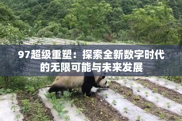 97超级重塑：探索全新数字时代的无限可能与未来发展
