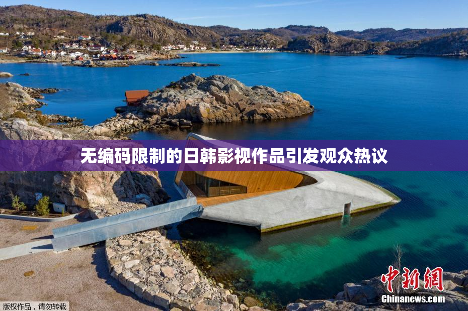 无编码限制的日韩影视作品引发观众热议