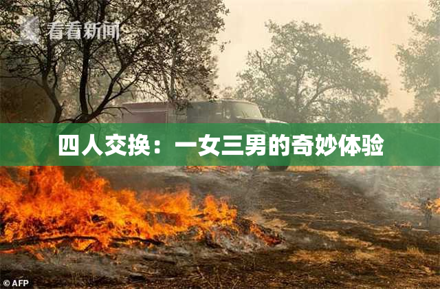 四人交换：一女三男的奇妙体验