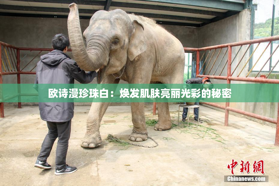 欧诗漫珍珠白：焕发肌肤亮丽光彩的秘密