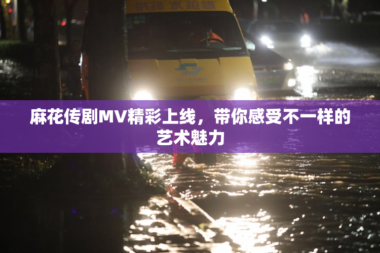 麻花传剧MV精彩上线，带你感受不一样的艺术魅力