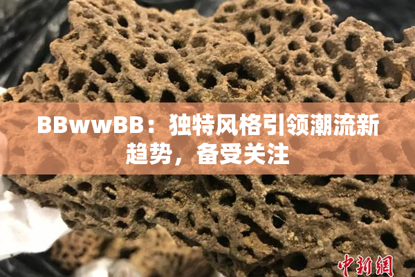 BBwwBB：独特风格引领潮流新趋势，备受关注