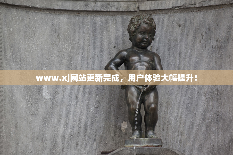 www.xj网站更新完成，用户体验大幅提升！