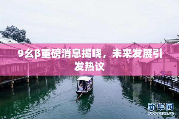 9幺β重磅消息揭晓，未来发展引发热议