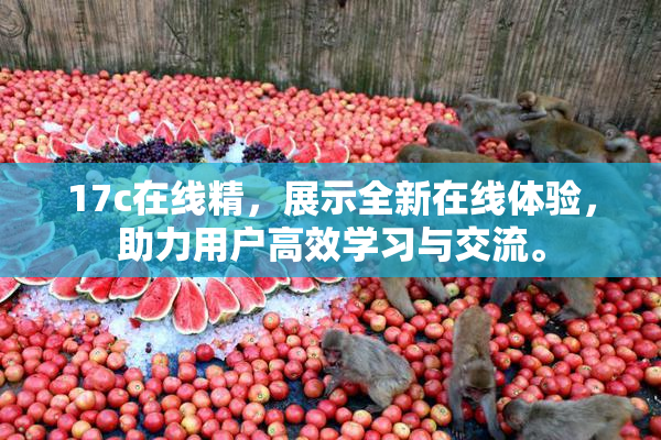 17c在线精，展示全新在线体验，助力用户高效学习与交流。
