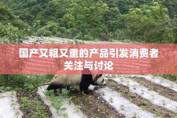 国产又粗又重的产品引发消费者关注与讨论