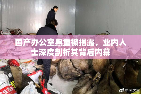 国产办公室黑重被揭露，业内人士深度剖析其背后内幕