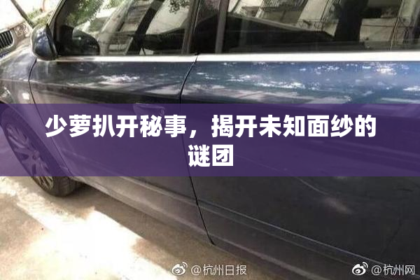 少萝扒开秘事，揭开未知面纱的谜团