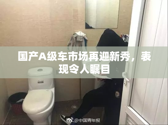 国产A级车市场再迎新秀，表现令人瞩目