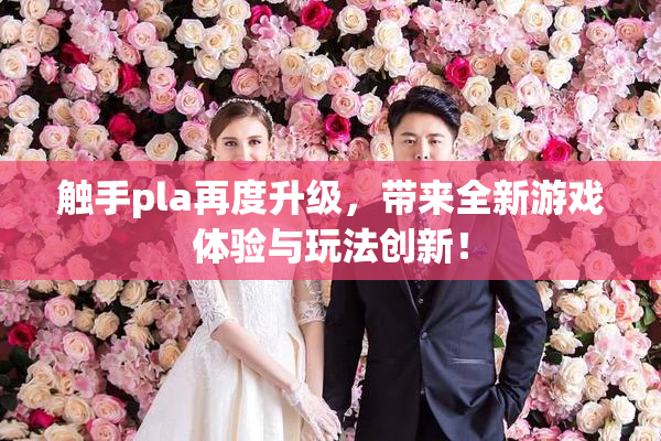 触手pla再度升级，带来全新游戏体验与玩法创新！
