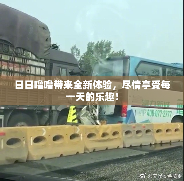 日日噜噜带来全新体验，尽情享受每一天的乐趣！