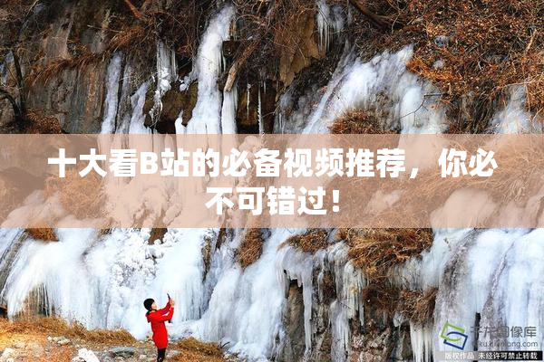 十大看B站的必备视频推荐，你必不可错过！