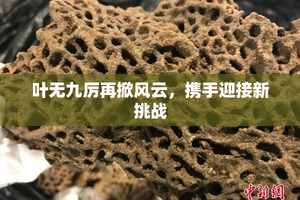 叶无九厉再掀风云，携手迎接新挑战