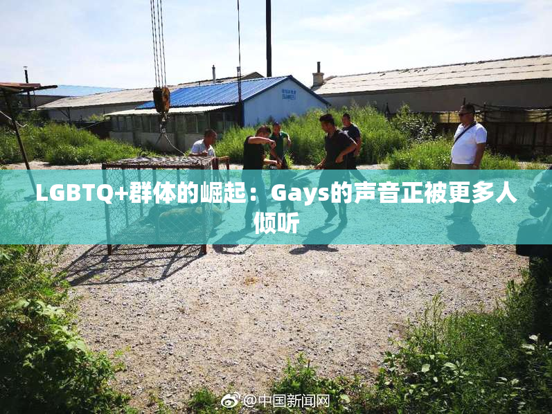 LGBTQ+群体的崛起：Gays的声音正被更多人倾听