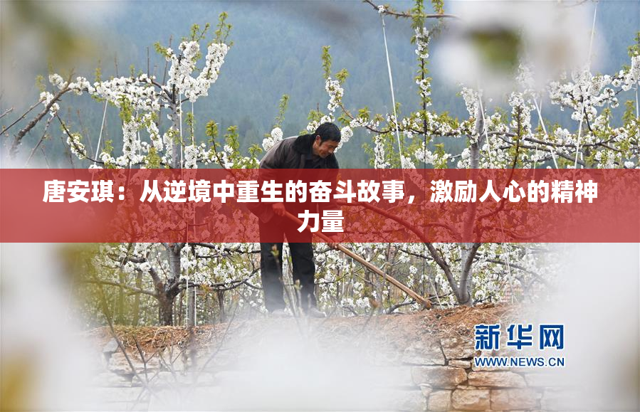 唐安琪：从逆境中重生的奋斗故事，激励人心的精神力量