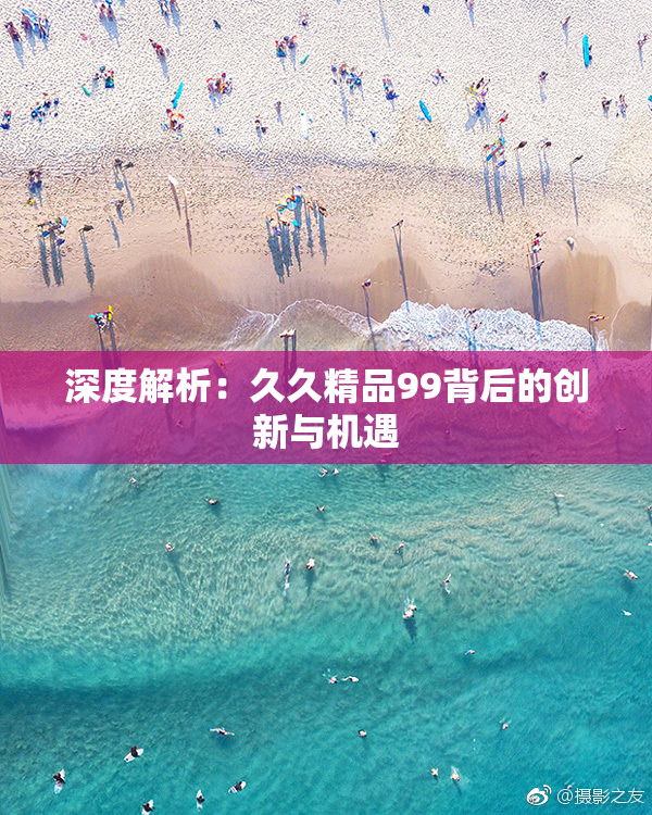 深度解析：久久精品99背后的创新与机遇