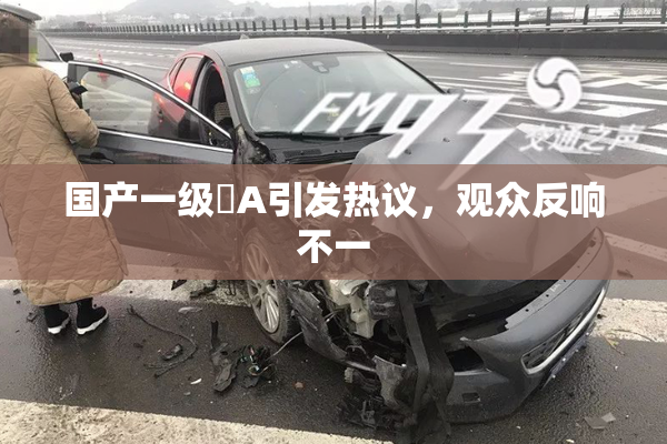 国产一级婬A引发热议，观众反响不一