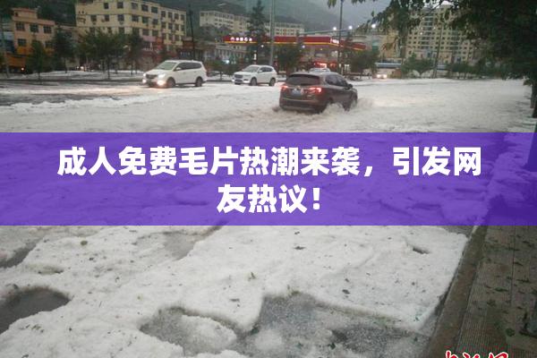 成人免费毛片热潮来袭，引发网友热议！