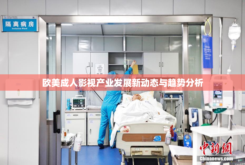 欧美成人影视产业发展新动态与趋势分析