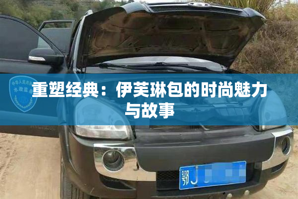 重塑经典：伊芙琳包的时尚魅力与故事