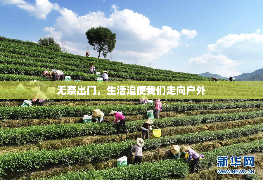 无奈出门，生活迫使我们走向户外