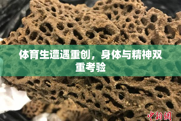 体育生遭遇重创，身体与精神双重考验