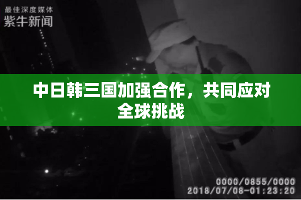 中日韩三国加强合作，共同应对全球挑战