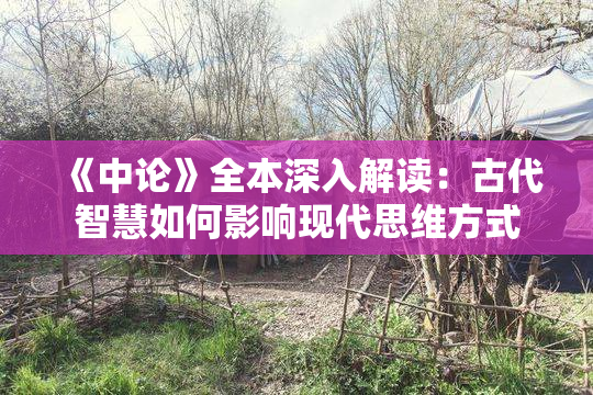《中论》全本深入解读：古代智慧如何影响现代思维方式