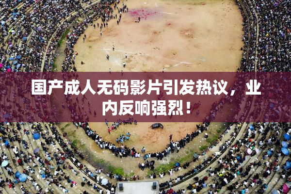 国产成人无码影片引发热议，业内反响强烈！