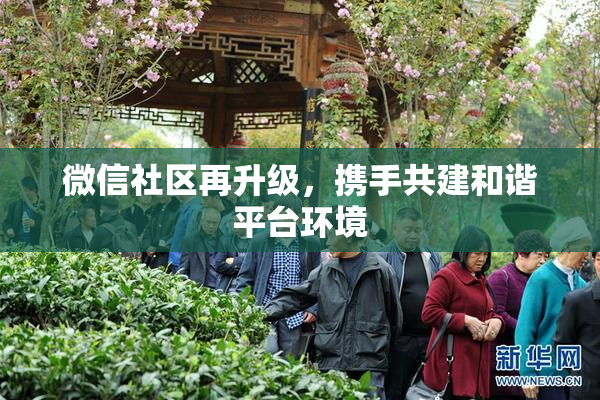 微信社区再升级，携手共建和谐平台环境
