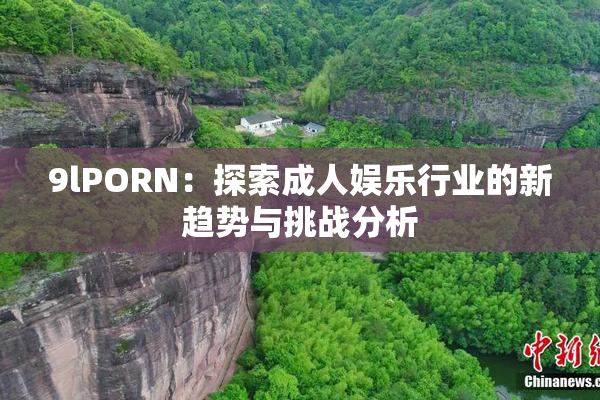 9lPORN：探索成人娱乐行业的新趋势与挑战分析