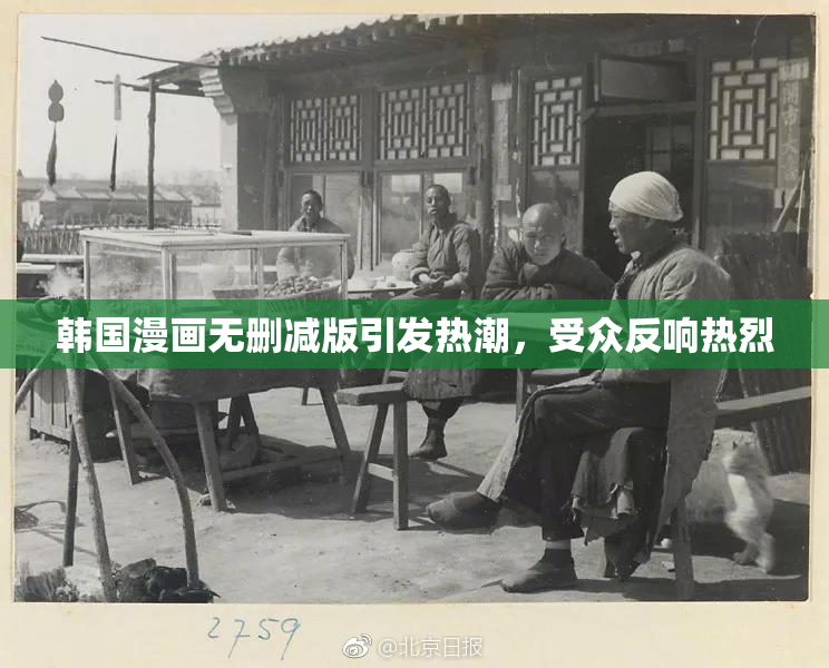 韩国漫画无删减版引发热潮，受众反响热烈