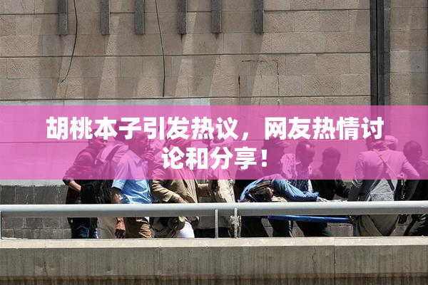 胡桃本子引发热议，网友热情讨论和分享！