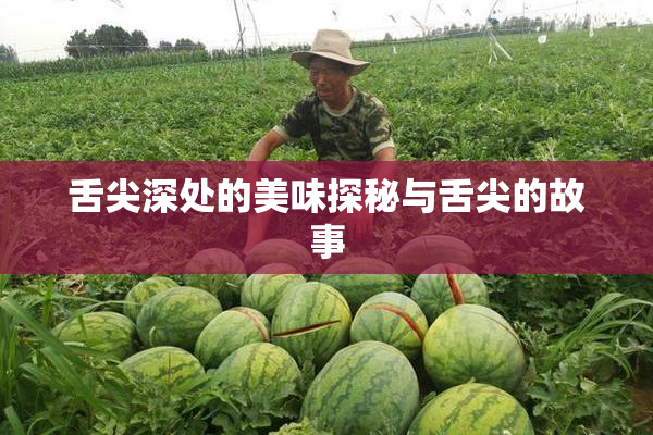 舌尖深处的美味探秘与舌尖的故事