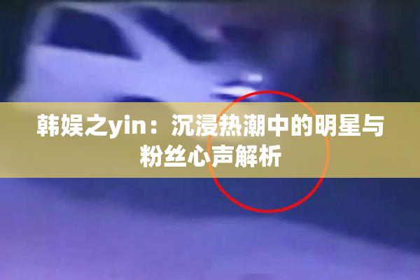 韩娱之yin：沉浸热潮中的明星与粉丝心声解析