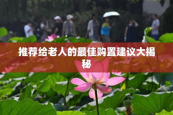 推荐给老人的最佳购置建议大揭秘