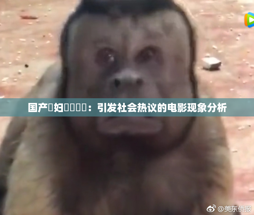 国产婬妇❌‌❌‌：引发社会热议的电影现象分析