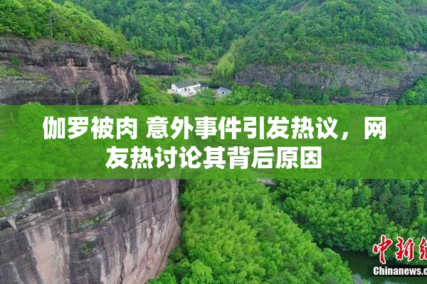 伽罗被肉 意外事件引发热议，网友热讨论其背后原因